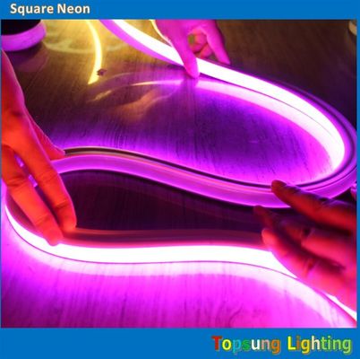 2016 baru persegi merah muda 12v 16*16m LED neon lampu lentur untuk ruangan