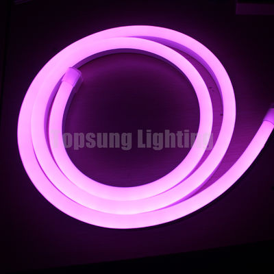 Cantik RGB perubahan warna 24v digital lentur LED neon lampu lentur strip