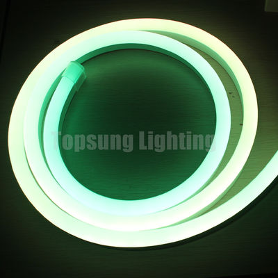 Dekorasi Natal digital LED lampu neon fleksibel strip waterproof dekorasi luar ruangan