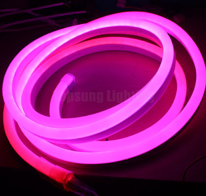 Lampu Tali Fleksibel Neon Strip Led Kejar Piksel Digital Mini RGB 24V