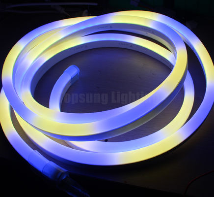 Lampu Tali Fleksibel Neon Strip Led Kejar Piksel Digital Mini RGB 24V