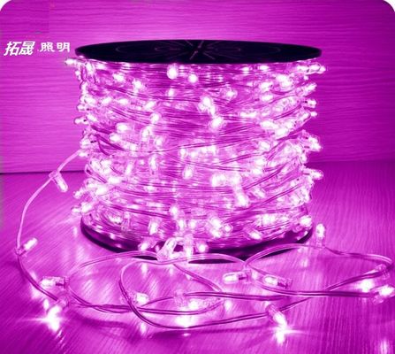 100m 1000leds 12V LED Fairy Clip String Lampu untuk Dekorasi Pohon Natal Luar Ruang