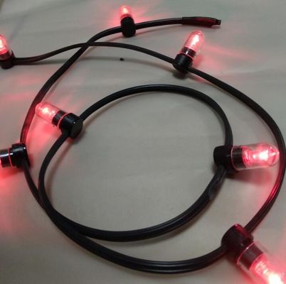 Tegangan rendah Powered Led String Lampu warna merah muda Natal Led 100m Strings 666LED