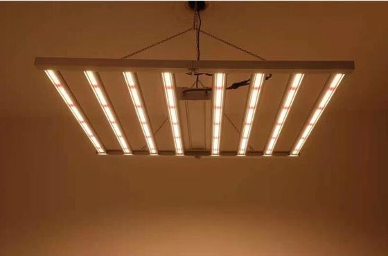600W Indoor LED Lampu Tumbuh Led Lampu Tanaman IP65 Sambead 6 Bar CUL Driver